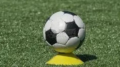 【亮点瞬间】CBA第31轮五佳精彩回放