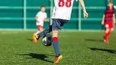 武汉体院物业管理服务项目中标公告