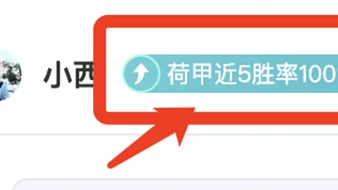 帕尔默关键进球，恩昆库助力切尔西5-1大胜南安普顿