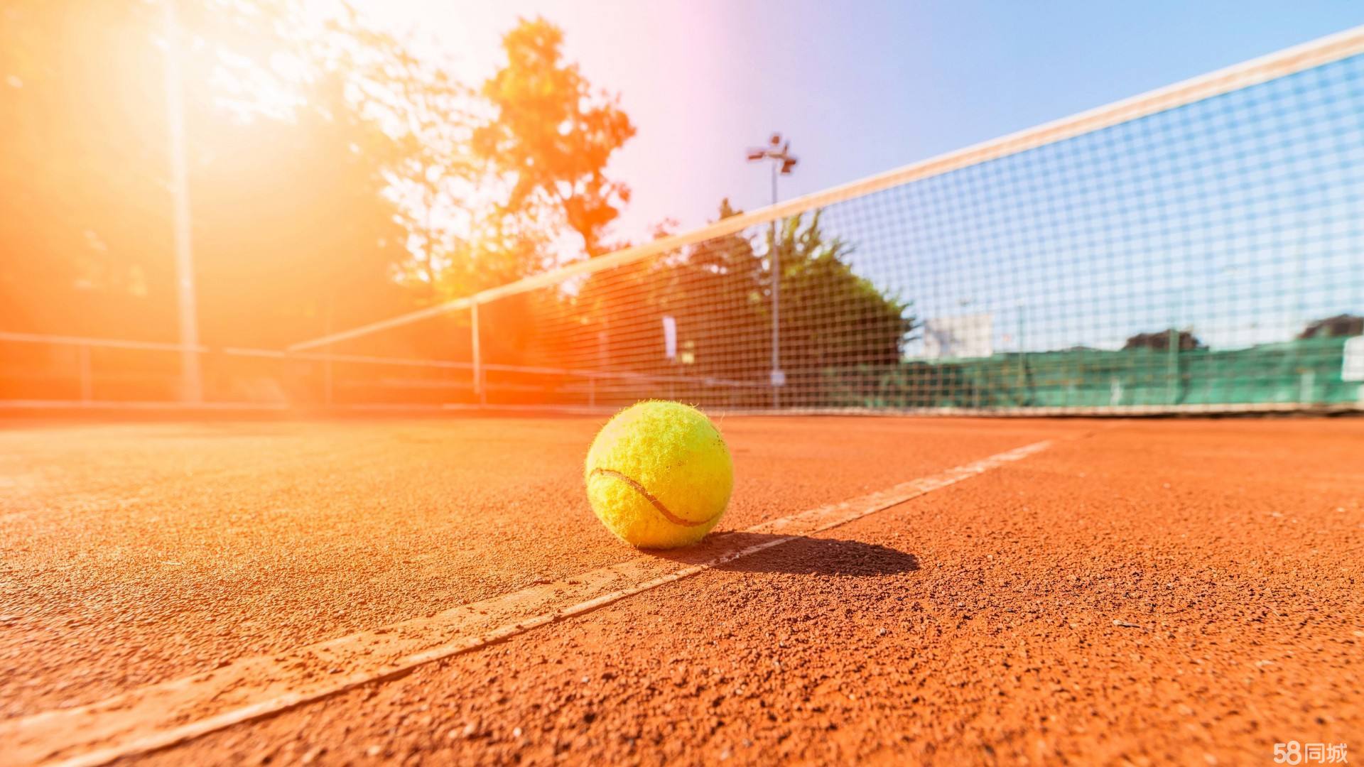 的唐诗元素 的唐诗元素